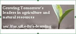 UF e-Learning Institute