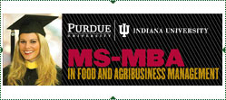 MS-MBA