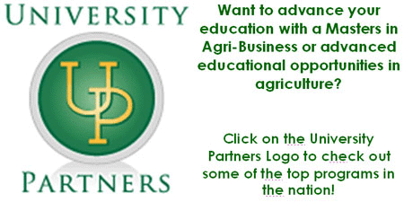 university partners program