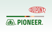 Pioneer Logo