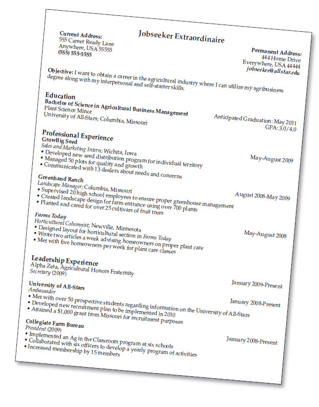 resume writing 101
