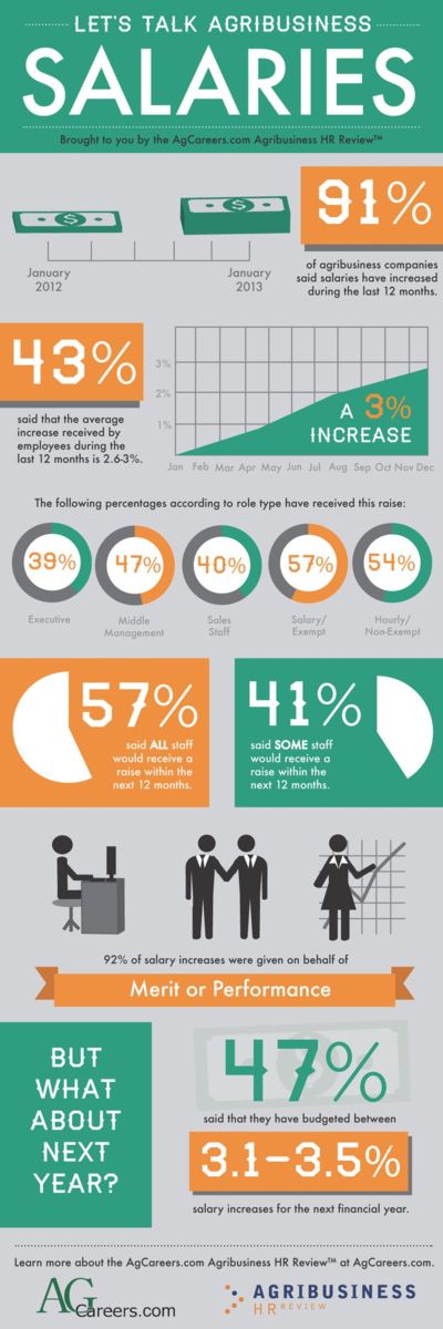 human resource resume