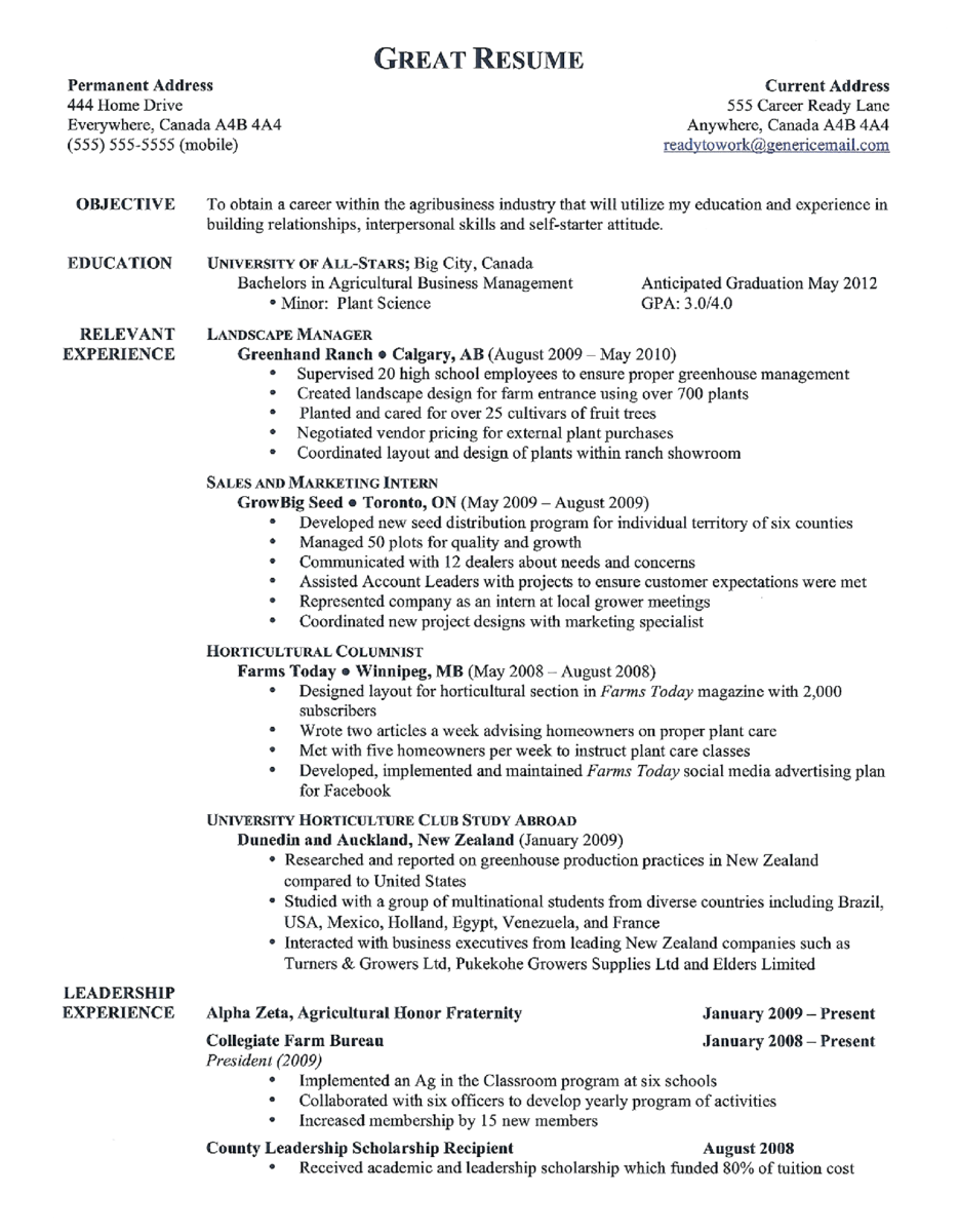 Best resume format template