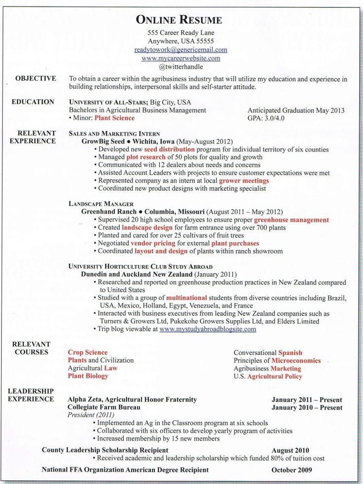 online resume