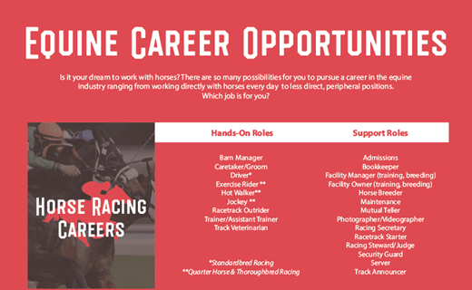 Equine Career Opportunities