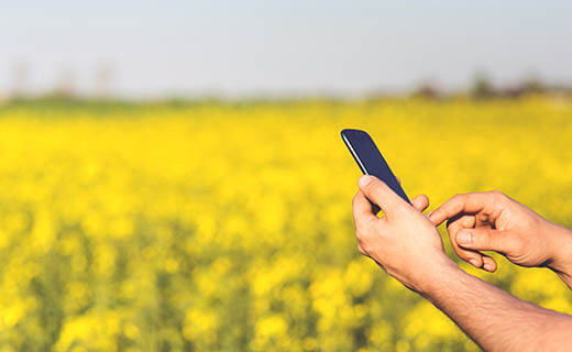 Future Farmers Network is Australia's national network that supports young people creating prosperous futures in the rural industries.