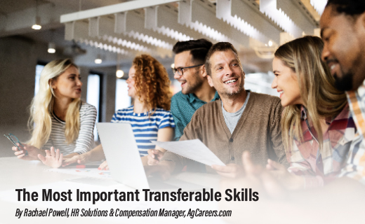 The Most Important Transferable Skills