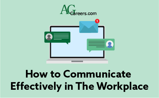 How to Communicate Effectively in the Workplace