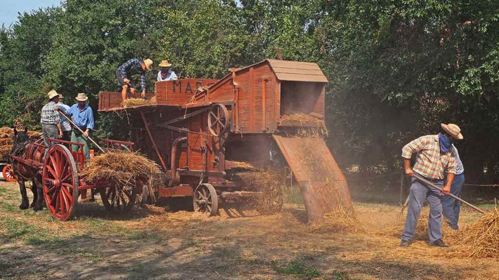 How The Three Agriculture Revolutions Improved Quality Of Life