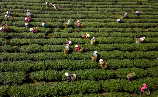 Bridging Fields: How Policy Changes Open Doors to Hire International Workers in STEM Fields and Cultivate the Future of Agriculture