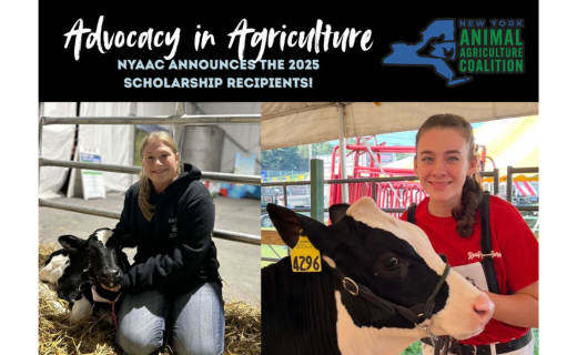 Anna Maxwell And Sophia Wilbur Win NYAAC Scholarships