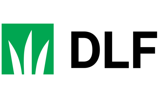Matt Fanta Joins DLF as Executive Vice President for North America ...