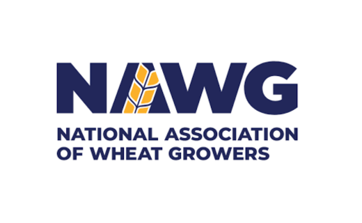 Tracey Mann Named 2025 Wheat Leader of the Year 