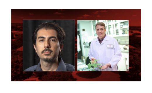 Nebraska Researchers Cahoon and Ciftci Win National Honors