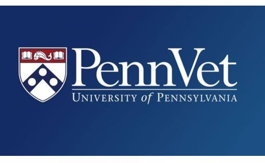 Penn Vet Adds Seven New Faculty Members Across Key Fields