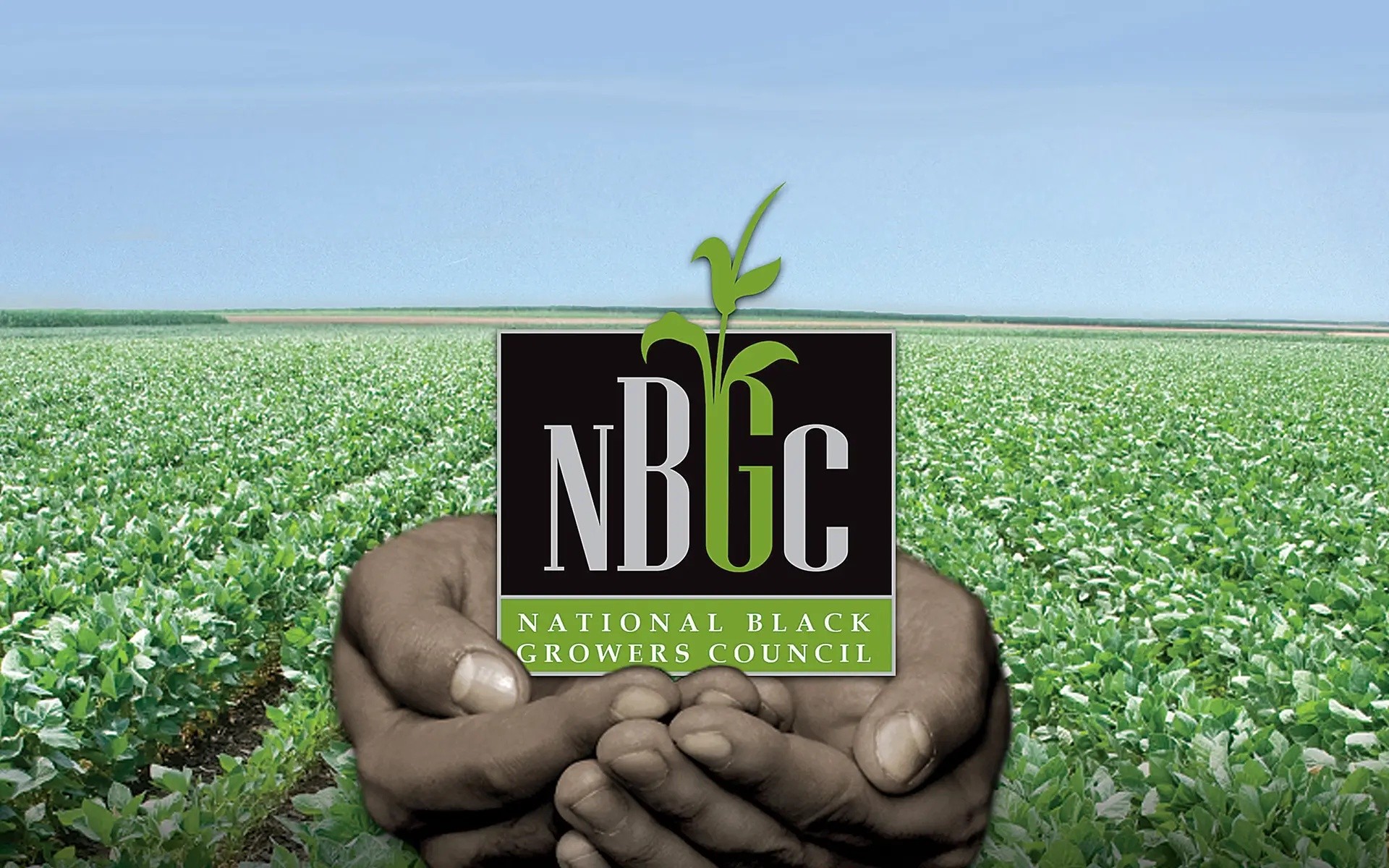 Two Different Backgrounds, One Shared Experience | NBGC Summer Internship Program