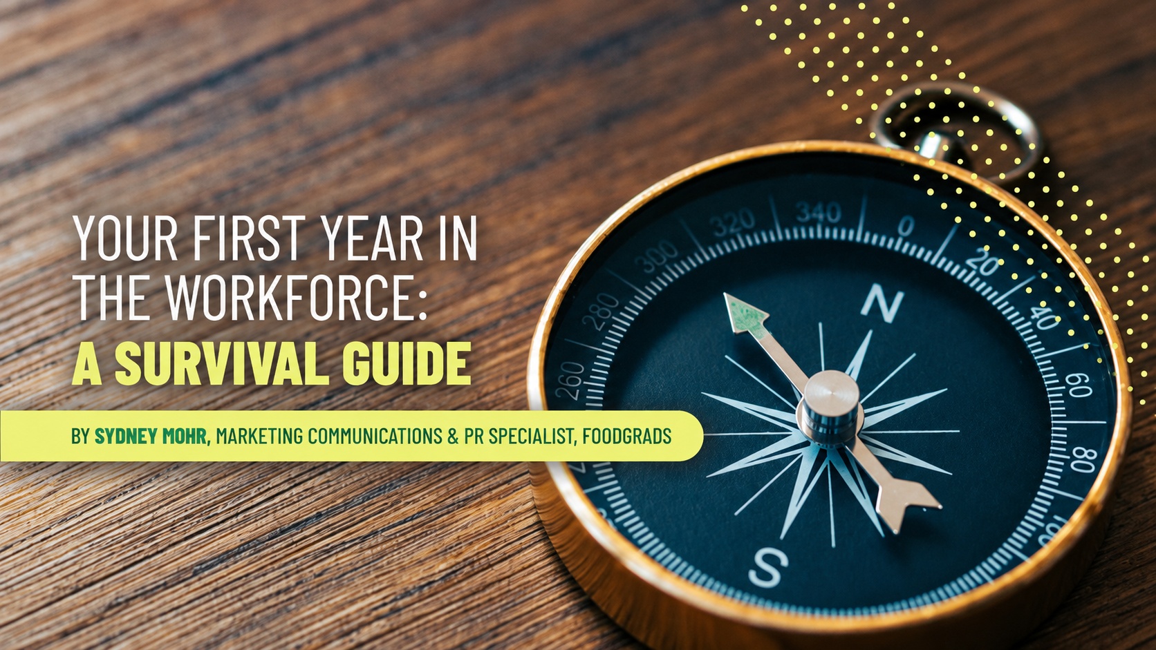 Your First Year in the Workforce: A Survival Guide 
