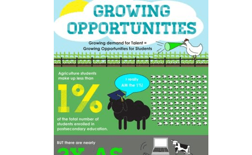 Growing Opportunities