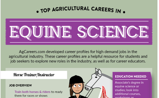 Top Agricultural Careers in Equine Science