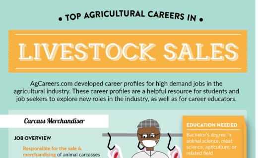Top Agricultural Careers in Livestock Sales