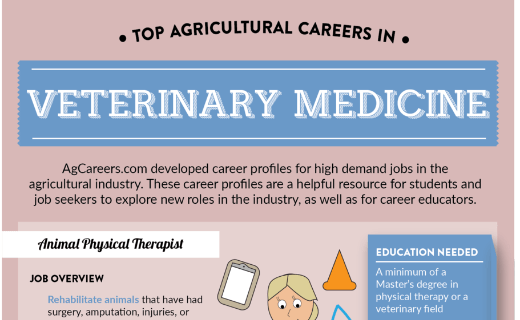 Top Agricultural Careers in Veterinary Medicine