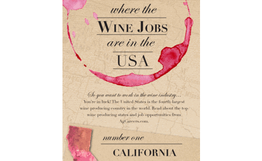 Wine Jobs