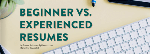 Beginner vs. Experienced Resumes