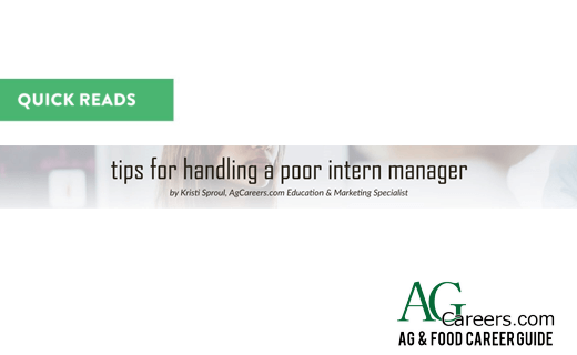 Tips for Handling a Poor Intern Manager