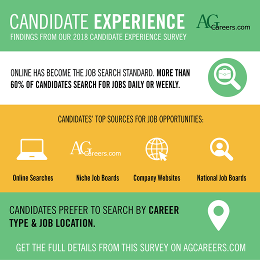 Candidate Experience & Motivation: Searching Online