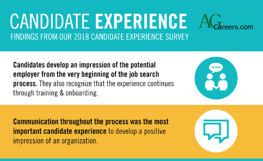Candidate Experience & Motivation: The Experience