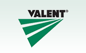 Valent