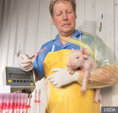 careers that involve animals