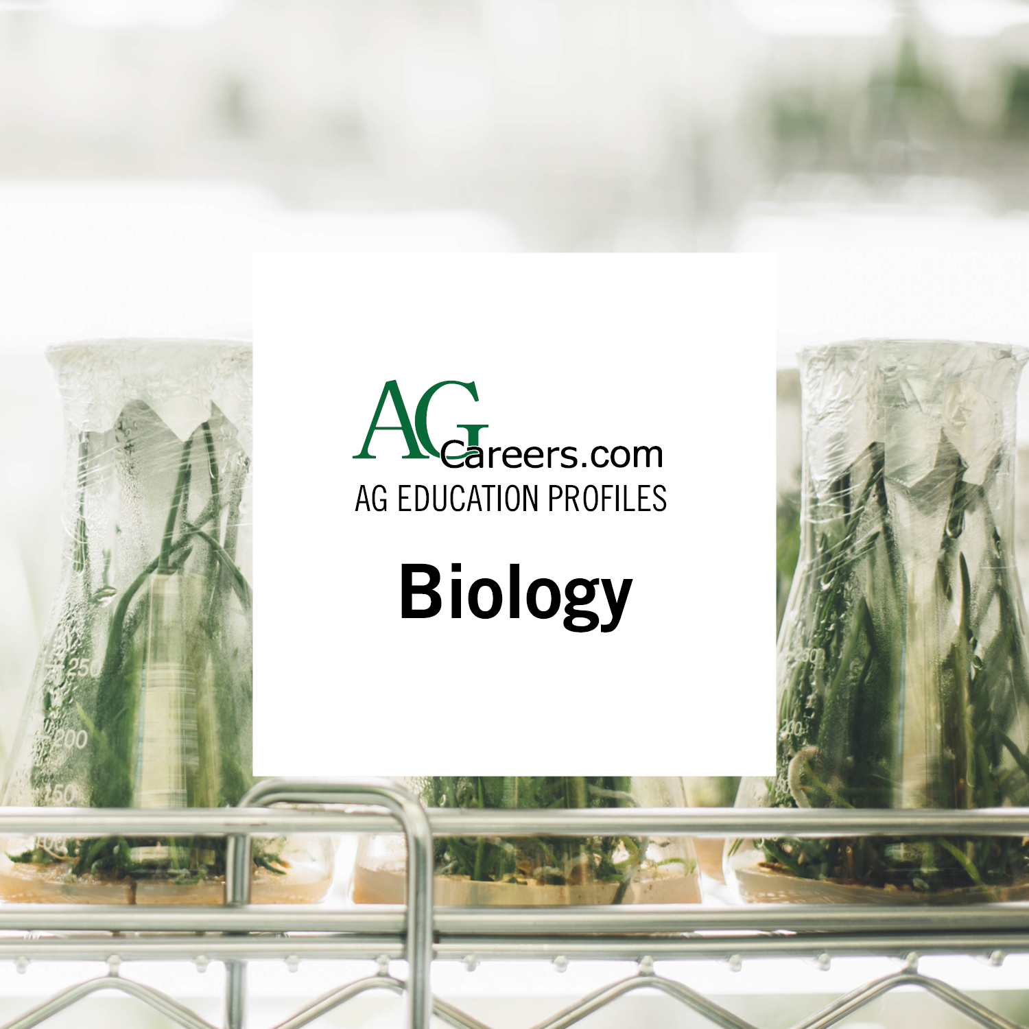 Biology Education Profile