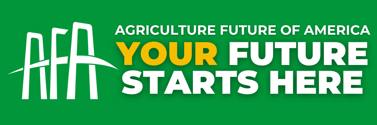 Your Future Starts Here