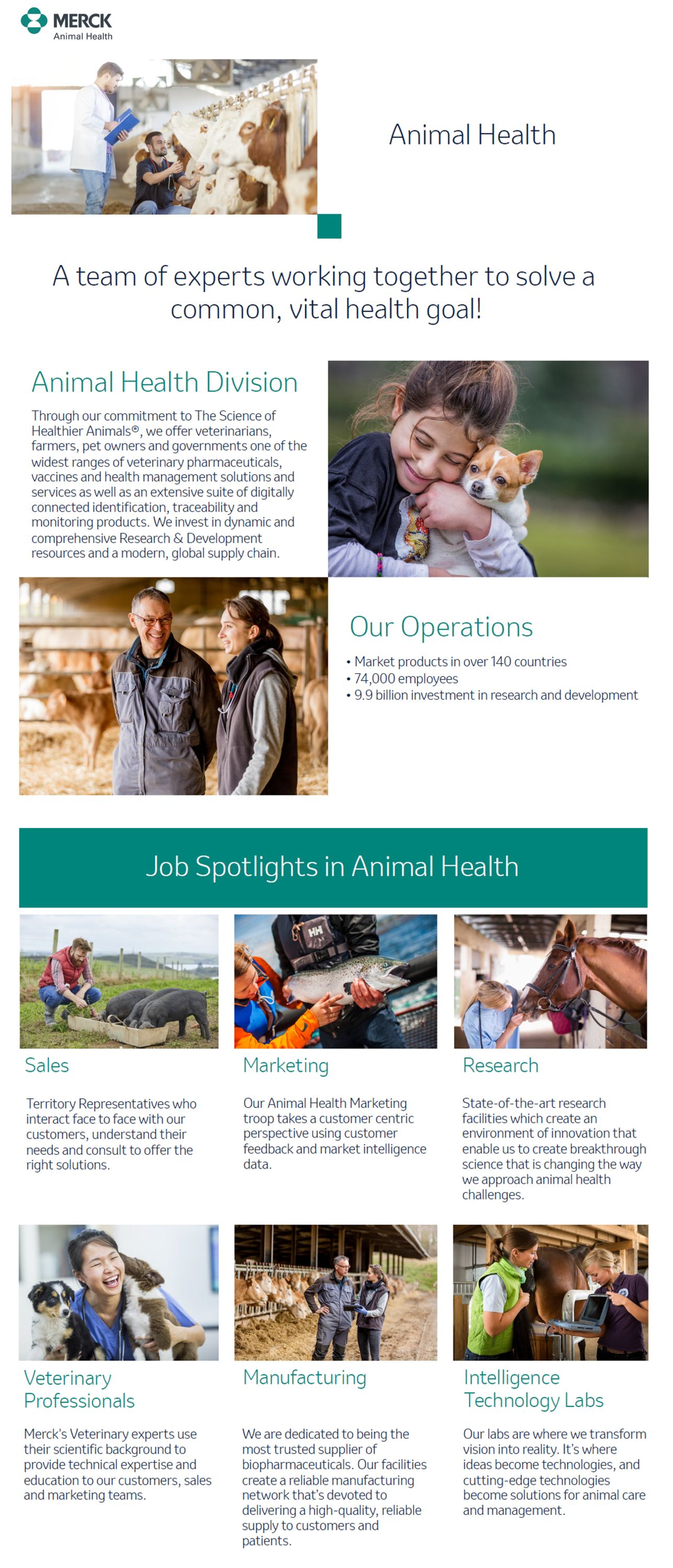 Merck Usa Careers - eek8gf7