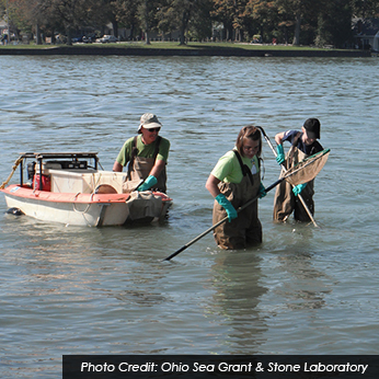 environmental science and protection technicians