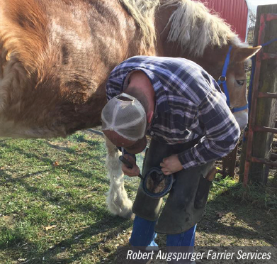 farrier