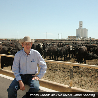 feedlot manager career profile agcareers com feedlot manager career profile agcareers com