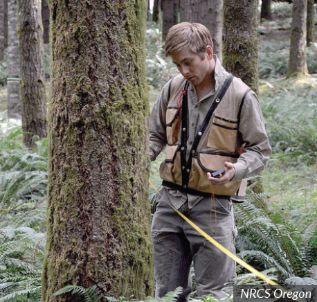 Forester | Career Profile | AgCareers.com