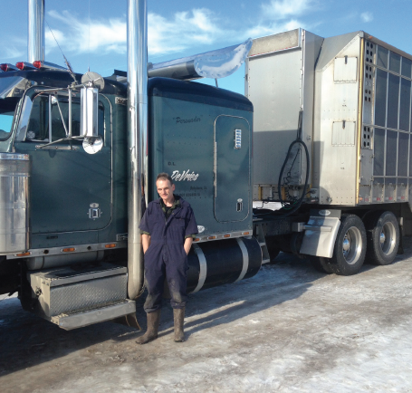 livestock hauler career profile agcareers com