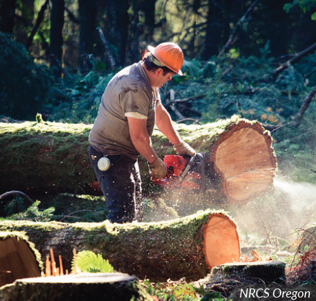 logger career profile agcareers