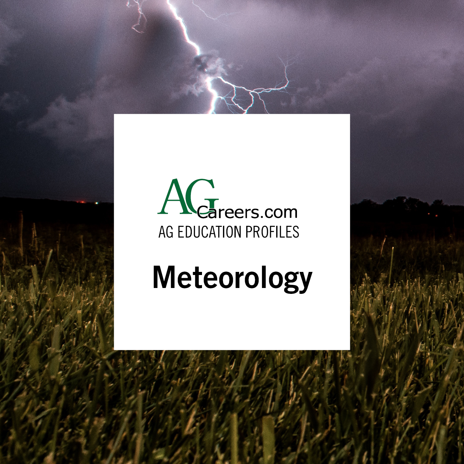Meteorology Education Profile