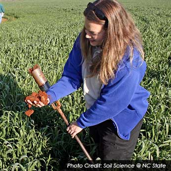 soil scientist