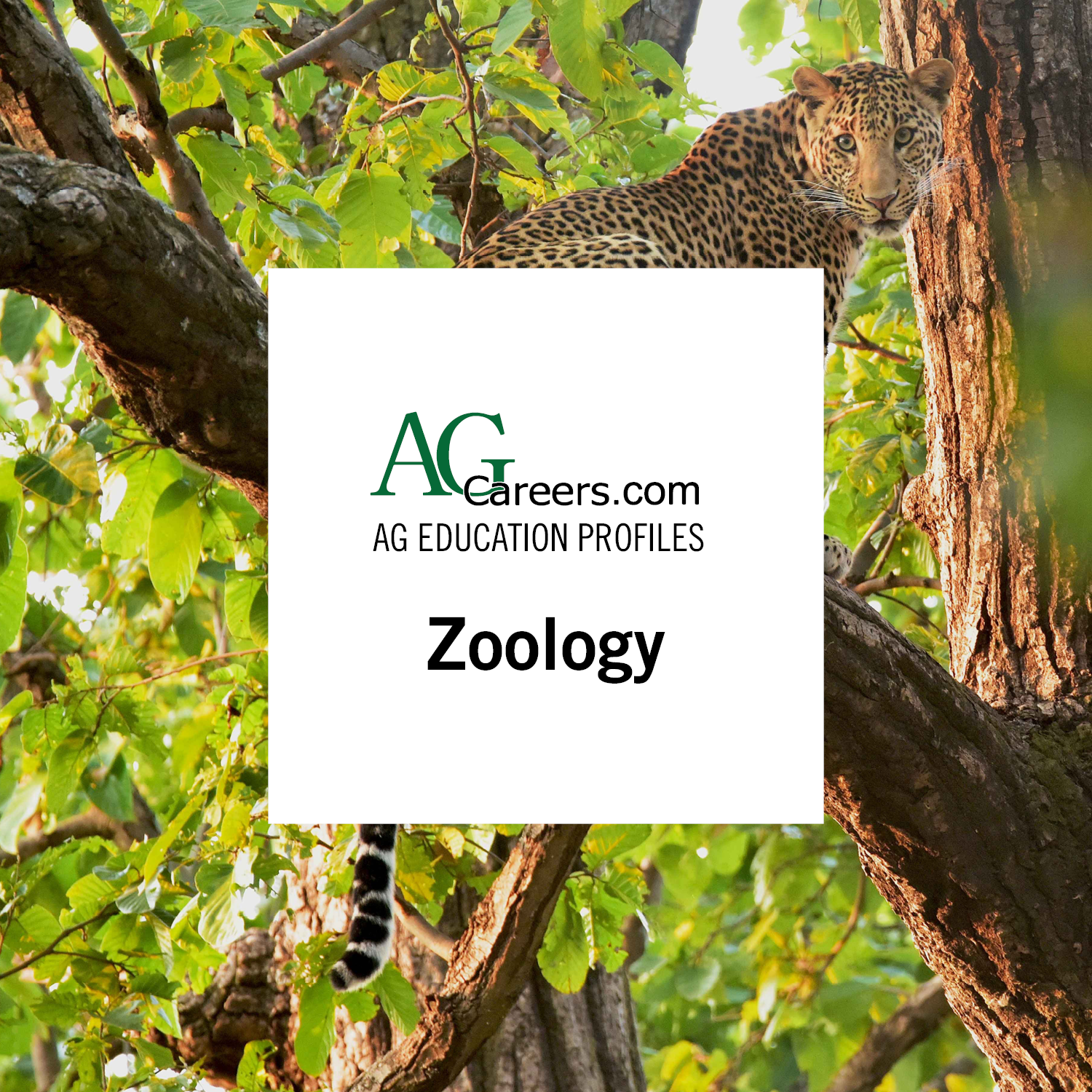 Zoology | Education Profile | AgCareers.com