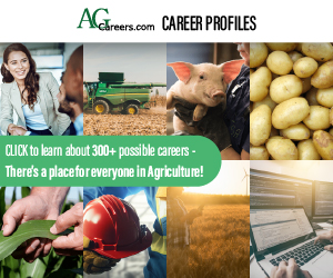 Banner Mobile - homepage mid