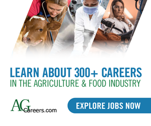 Banner Mobile - homepage mid