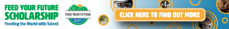 Banner Mobile - Footer