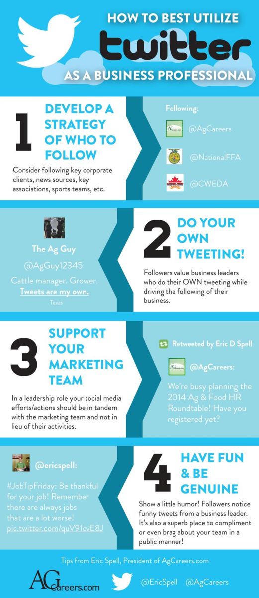 how to best utilize twitter as a business professional infographic twitter flyer